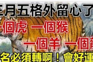 3月5日：一個虎，一個猴，一個羊，一個龍。