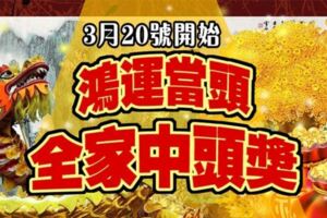 3月20號開始，鴻運當頭有望中頭獎的生肖