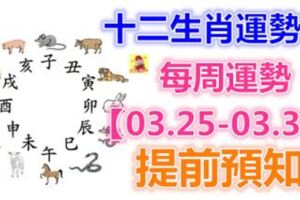 十二生肖運勢：每周運勢【03.25-03.31】提前預知！