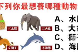 心理測試：選一個你想養的特殊動物！測出你這輩子有什麼富貴命