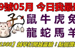 09號05月，今日我最旺！鼠牛虎兔龍蛇馬羊！【51988】越早打開越靈驗！點個讚吧！