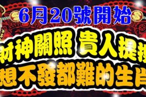 6月20號開始，財神關照，貴人提攜，想不發都難的生肖