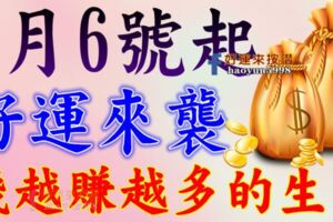 8月6號開始好運來襲，日進鬥金，錢越賺越多的生肖