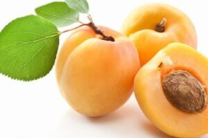 日常水果的知識集錦，是醫學界公認的最具食療效益的水果。