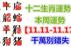 十二生肖運勢：本周運勢【11.11-11.17】千萬別錯失！
