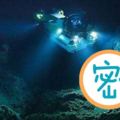 打破紀錄！驚發現生存在「海洋最深處」的魚類～