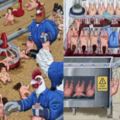 「當人肉被從超市買回來食用烹」，美國女畫家繪製的人與動物互換
