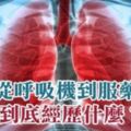 一位75歲肺癌患者的親身經歷，從呼吸機到服藥他到底經歷什麼？