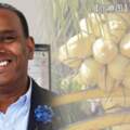 沙拉瓦南：月薪超越首相收入包括賣椰子