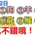 10月12日生肖運勢_狗、羊、虎大吉