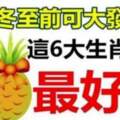 冬至前可大發一筆，這六大生肖最好命