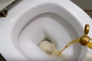 效果超強！清洗馬桶的「小妙招」，馬桶多年的深層尿垢水垢通通不見了，快試試吧！