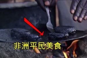 非洲平民美食「黑漢堡肉」，但你知道這是什麼做成的之後，你還敢吃嗎？