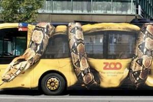 10個「曾經讓路人把早餐都噴出來」的公車廣告，第7個連司機都會被驚嚇到踩煞車！