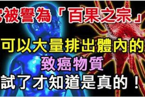 它被譽為「百果之宗」！可以大量排出體內的致癌物質，試了才知道是真的！