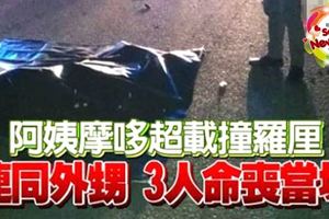 阿姨摩哆超載撞羅釐，結果連同外甥3人命喪當場！