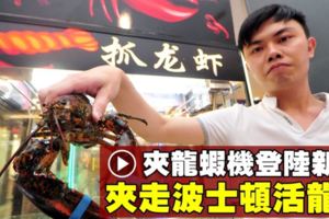 RM10挑戰夾活龍蝦夾娃娃達人趕緊來挑戰