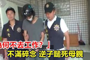 「為何不去工作？」不滿碎念逆子鎚死母親