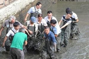 明明能...卻無法繁殖的超古老生物即將滅絕，目前2隻在中國、1隻在越南！