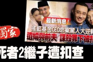 「搖籃基金總執行長命案」死者2繼子遭扣查