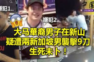 大馬華裔男子在新山疑遭兩新加坡男襲擊9刀生死未卜！