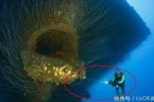 中國蛟龍號在馬裡亞納又有新發現，當照片公佈後，專家都感到驚奇！