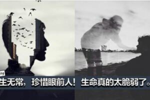 【人生無常，珍惜眼前人】生命真的太脆弱了，瞬息萬變，一定要好好珍惜現有的生活