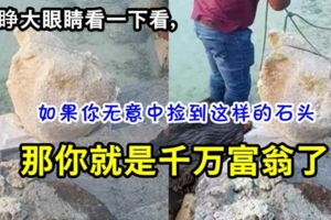 釣魚時撿到一塊石頭竟然價值近1200萬令吉