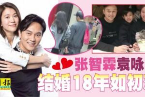 張智霖袁詠儀結婚18年如初戀