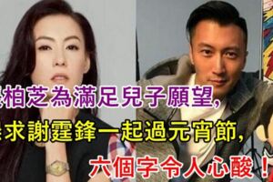 張柏芝為滿足兒子願望，懇求謝霆鋒一起過元宵節，六個字令人鼻子一酸！