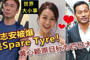 許志安被爆是SpareTyre！黃心穎原目標為百億大亨