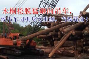 疑吊起時繩索斷裂釀禍吊車司機遭木桐活活砸死