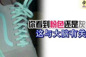 一隻運動鞋的圖片，你看到粉色還是灰色？這與大腦有關