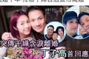 楊千嬅被曝離婚：我什麼都沒有，只有心中一點勇