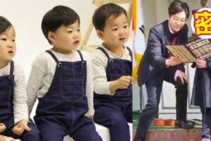 亞洲最萌3胞胎「大韓民國萬歲」畢業了！7歲民國「變長腿小帥哥上台致詞」網融化：真的長大了