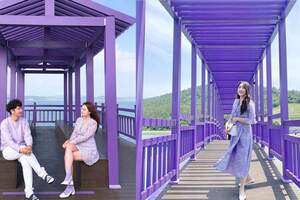 根本紫色控天堂！韓國神秘紫色小島，整座島都是夢幻紫色調，浪漫世界中旅行，就像在走進童話故事