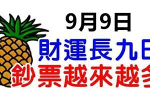 9月9日財運長九日，鈔票越來越多的生肖