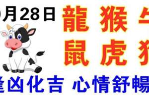 10月28日生肖運勢_龍、猴、牛大吉