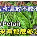 不敢相信！臭豆(Petai)原來有那麼多功效！看完你還敢不敢不吃？