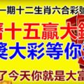 第十一期十二生肖六合彩號碼組合。農曆十五贏大錢，中獎大彩等你選！過了今天你就是大富翁。