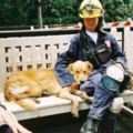 這隻「911事件最後一隻搜救犬」下車後被消防隊員夾道迎接，當大家發現牠走去的地方…眼淚就譁啦啦地掉下來了！