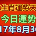 十二生肖運勢天天看，今日運勢：8月30日