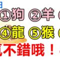 9月12日，生肖狗、羊、虎、龍、猴、豬！運氣不錯哦！