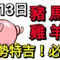 9月13日，生肖豬、馬、兔、雞、羊、猴！運勢特吉！