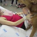 癌末病人的最後心願就是「能跟愛犬見一面」，當狗狗終於能前來看主人時…它的舉動讓人淚崩了！