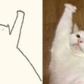 網友投稿將自家貓咪變成「貼圖」，從第一張開始就讓人笑到停不下來！