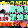 今天11月15日,每日旺財提示：鼠雞馬牛，龍蛇羊狗。錢財運提升！財源滾滾留言15118必轉！