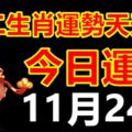 十二生肖運勢天天看，今日運勢：11月24日