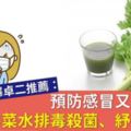 預防感冒又防癌！自製芹菜水排毒殺菌、紓壓好眠