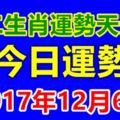 十二生肖運勢天天看，今日運勢：12月6日